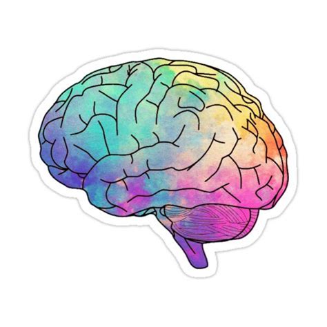 Watercolor Brain Sticker By Clairekeanna Dibujos De Psicologia