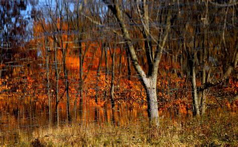 Autumn Reflections 1 Photograph By Rosanne Jordan Fine Art America