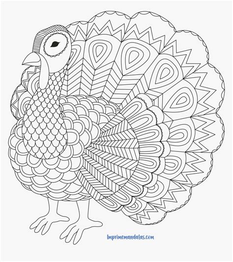 Mandala De Animales Pdf Adult Turkey Coloring Pages Hd Png Download