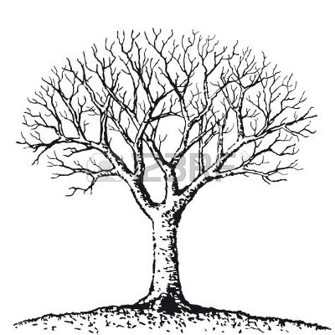 Simple Line Drawing Tree At Getdrawings Free Download