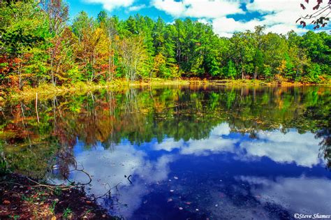 Hunting retreat, ky, tree farm, timber. Cedar Pond, Land Between the Lakes | Land Between the ...