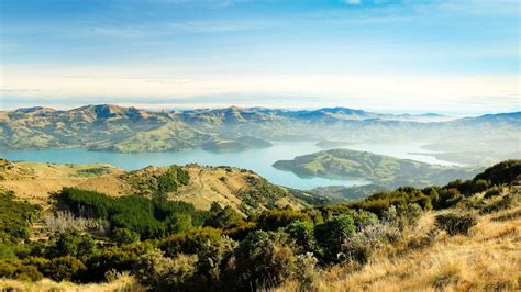 Akaroa Harbour Canterbury New Zealand Book Tickets And Tours Getyo