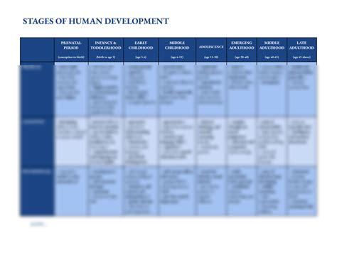 Solution Stages Of Human Development Studypool