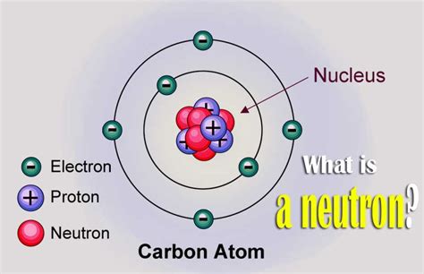 What Is A Neutron And Its Charge Discovery And Mass Of A Neutron