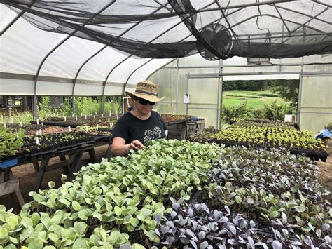 Rodale Institute Bringing Organic Farming Research To The Southeast
