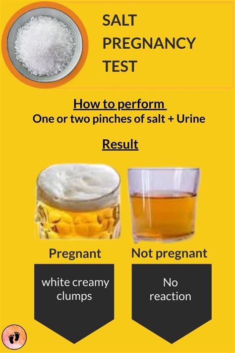 Pregnancy Urine Color Chart Hans Silverman Early Preg