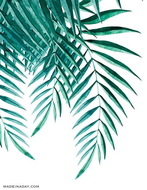 However, the best introduction of gardening to your print this crafttake those old bits of green crayons and recycle them into a delightful palm leaf crayon sun catcher in celebration of. Tropical Palm Watercolor Wall Art Printables • Made in a Day