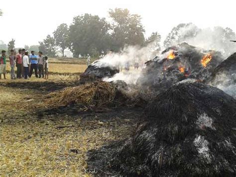 Woman Burnt Alive Latest News Photos Videos On Woman Burnt Alive