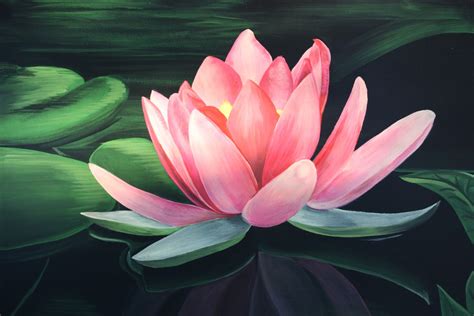 Japanese Lotus Flower Art