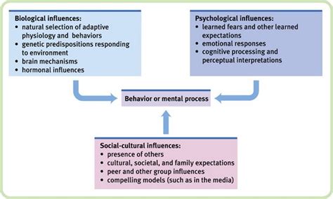Psych 101 Psychology Human Mind Physiology