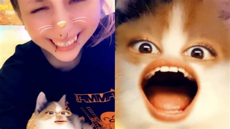 cat filters taken to a whole new level youtube