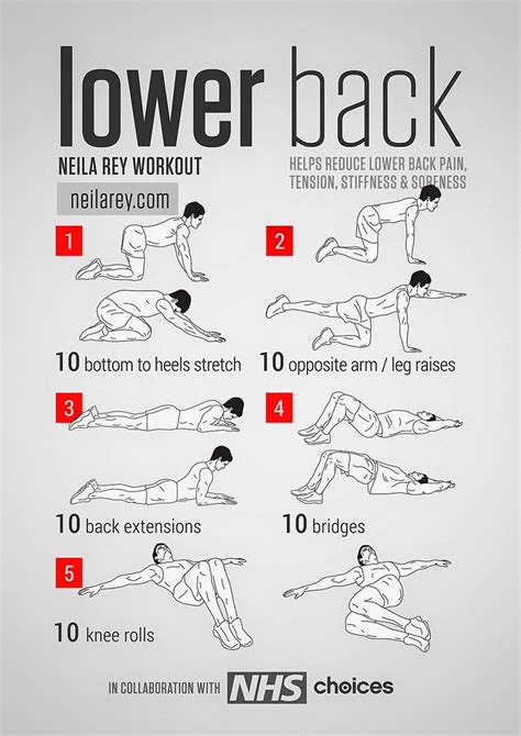 Best Lower Back Stretches Tfe Times