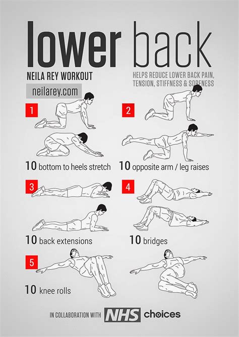 +18 daily muscle pics and videos♥. Best Lower Back Stretches | TFE Times