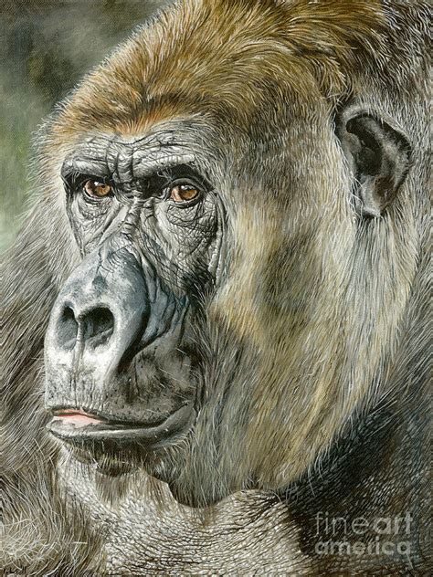 Gorilla Painting By True Image Fine Art America