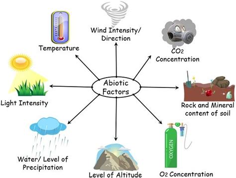 Difference Between Abiotic And Biotic Factors With Comparison Chart