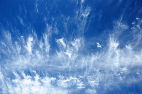 Cirrus Clouds—Fair Weather, Perhaps a Storm Approaching - Harvest to Table