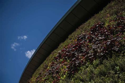 Wimbledon Green Wall Is Unveiled On International Television Biotecture