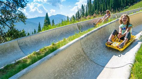 Alpine Slide Attractions And Things To Do