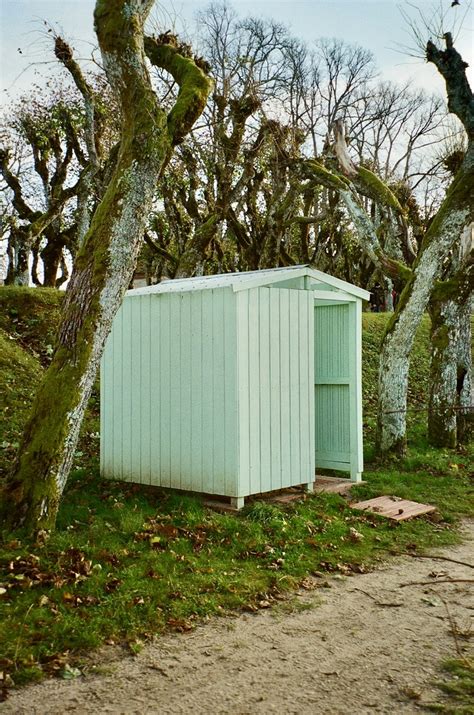 A Small Outhouse Sitting In The Middle Of A Forest Photo Free Katvari