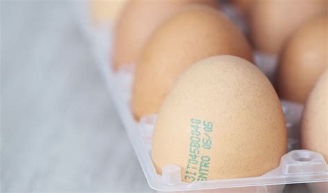 How long do hard boiled eggs last in the fridge? Storage Tips: How Long Do Eggs Last | Egg storage ...