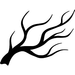 Dec 11, 2020 · polyethylene branch tips (in the model's palm) are highly realistic and give the tree a natural look. Tree Silhouettes