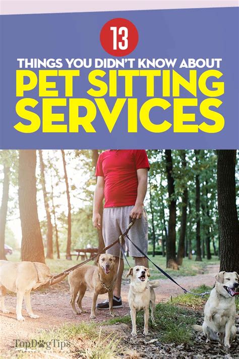 Pet Sitting Services 13 Things To Keep In Mind Before Using Them