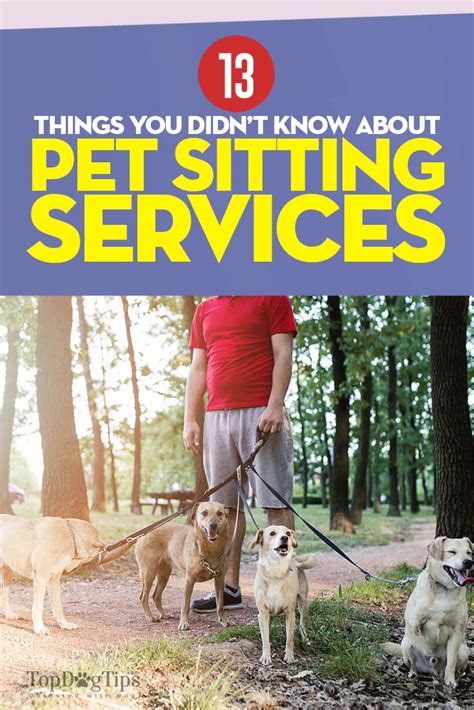 Stud is the hobby of connoisseurs of blood line and we proved the best as we choose from the best pedigree that is available in the market. Pet Sitting Services: 13 Things to Keep in Mind Before ...