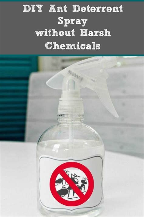 Maybe you would like to learn more about one of these? DIY Ant Deterrent Spray | Ant spray, Cleaners homemade, Natural cleaning products
