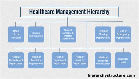 Hospital Hierarchy Chart