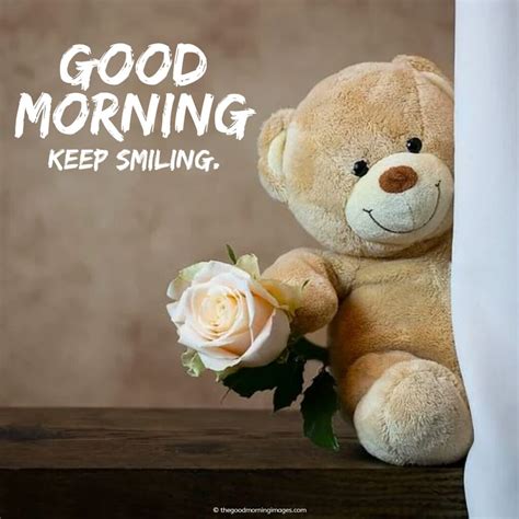 120 Sweet Good Morning Teddy Bear Images A To Z