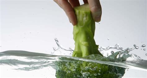 If the soil in your container is too compacted, the seeds cannot sprout or form. Should I Soak Broccoli Before Cooking It to Remove Bugs ...