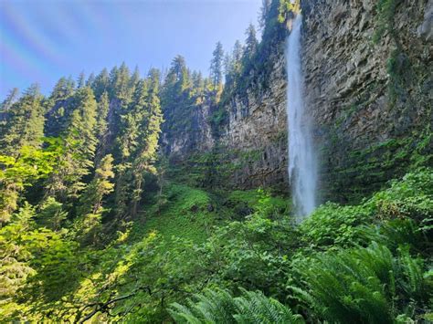 Oregons 3rd Tallest Waterfall The Watson Falls Hike Guide