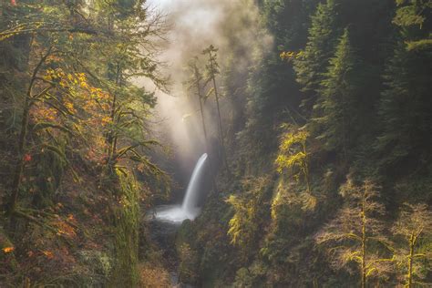Forest Mist Image Oregon National Geographic Your Shot Photo Of The Day