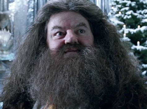 Hagrid Hospitalized Harry Potter Actor Robbie Coltrane Taken To