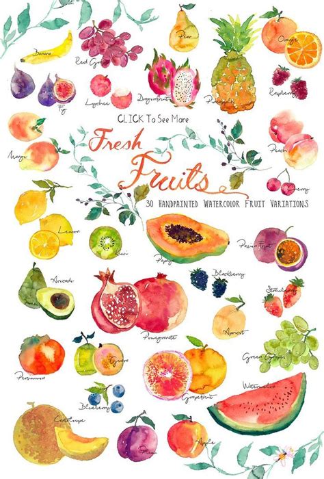 Fresh Fruits Handpainted Watercolor By Smallhousebigpony On