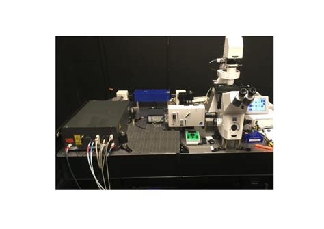 Dcs 120 Mp Multiphoton Flim System Becker And Hickl Gmbh