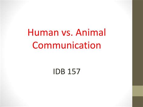 Ppt Human Vs Animal Communication Idb 157 Powerpoint Presentation
