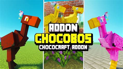 Addon De Chocobos Para Minecraft Pe 119 Chococraft Addon Mods Para
