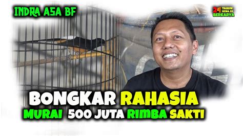 Blak Blakan Bongkar Rahasia Stabilnya Rimba Sakti Sering Juara Youtube