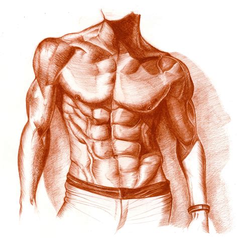 Https://tommynaija.com/draw/how To Draw A Muscle