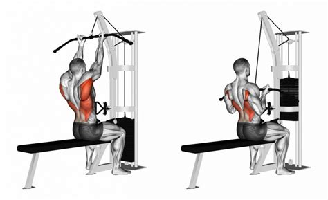 Reverse Grip Lat Pulldown How To Perform The For A Stronger Back