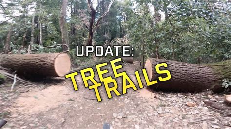 Update Tree Trails Youtube