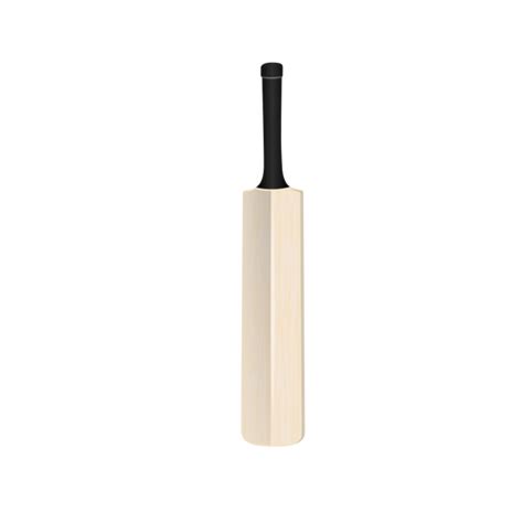 Boom boom cricket signed a deal with pakistan cricket board in april 2010 to become the kit sponsors of the pakistan team; Cricket bat vector image | Public domain vectors