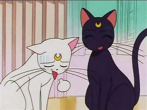 I Used To Be Scared Of Cats Sailor Moon Katze Luna Und Artemis