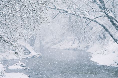 Snowstorm Stock Image E1270513 Science Photo Library