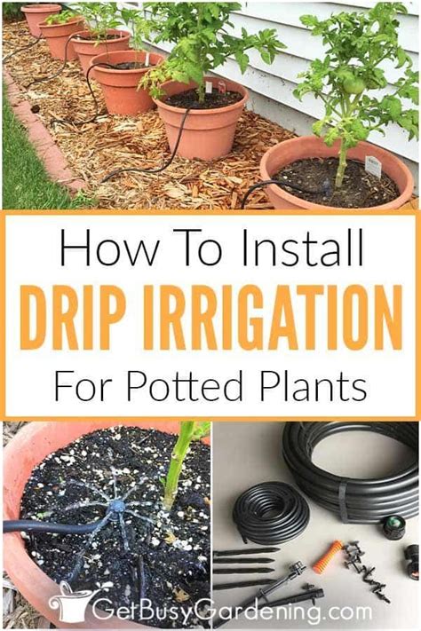 How To Install A Diy Drip Irrigation System For Potted Plants Drip