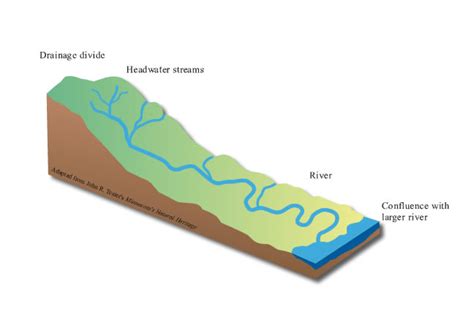 Diagram Freshwater River Diagrams Mydiagramonline