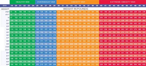 Bmi Chart For Men Women Kids And Adults Check Your Bmi Status With