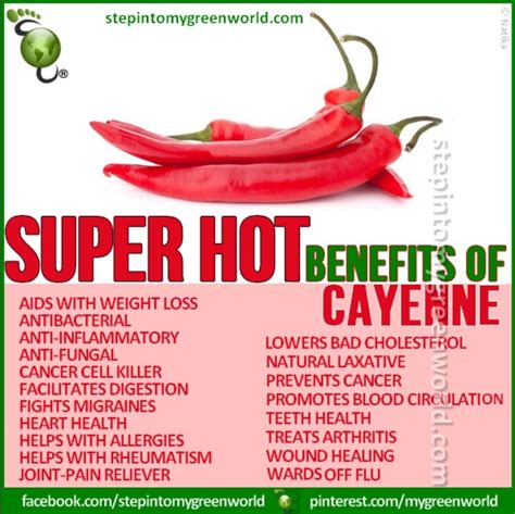 Benefits Of Cayenne Pepper Health Benefits And Nutrients Of Fruit