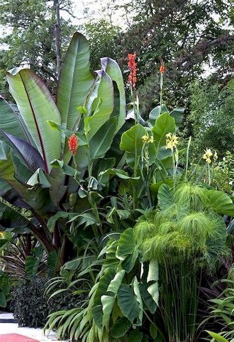 30 Amazing And Beautiful Tropical Garden Ideas 6 Gardenideazcom